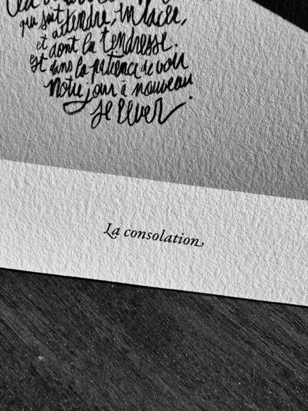 — La consolation (Édition surprise) – Image 2